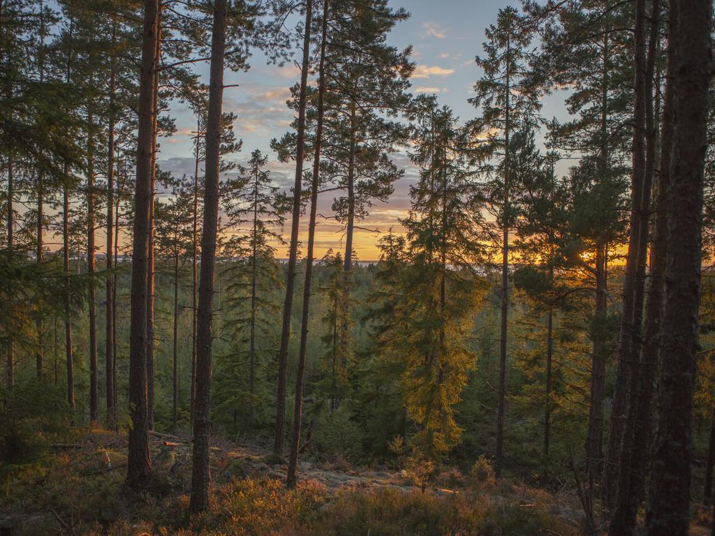 Hamgarden Nature Resort Tiveden Номер фото